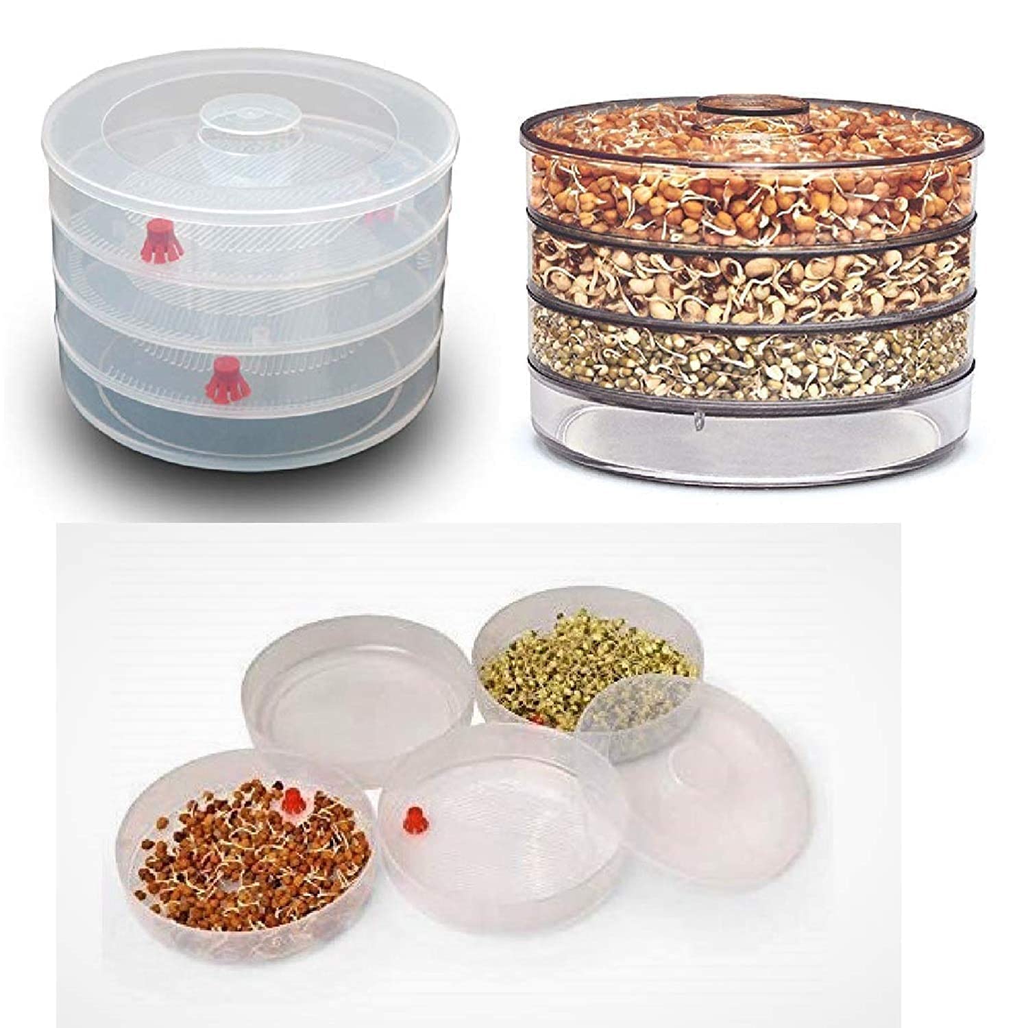 Rylan Sprout Maker With 4 Compartments For Multi Purpose Use - Plastic Grocery Container Sprouted Grains Seeds Dal Channa Chole